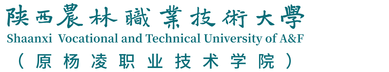 304am永利