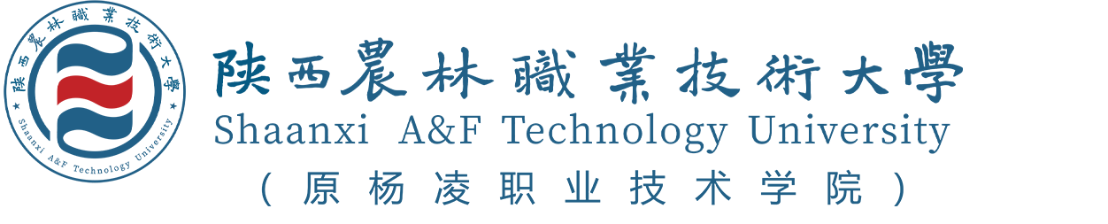 304am永利